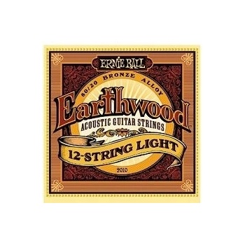 Ernie Ball 2010