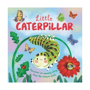 Little Caterpillar | Gisela Bohórquez (ISBN: 9781837716692)