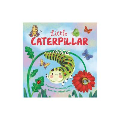 Little Caterpillar | Gisela Bohórquez