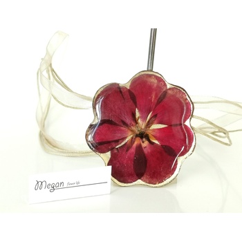 Meganflo Голяма червена Налба