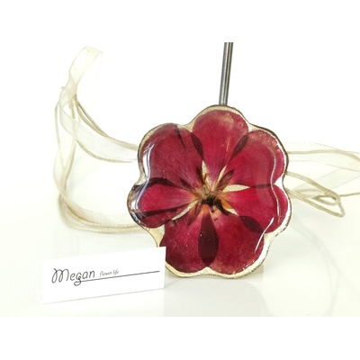 Meganflo Голяма червена Налба