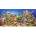 Castorland - Puzzle Underwater Life - 4 000 piese
