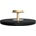 UMAGE Asteria 2331