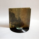 M WARD - HOLD TIME LP