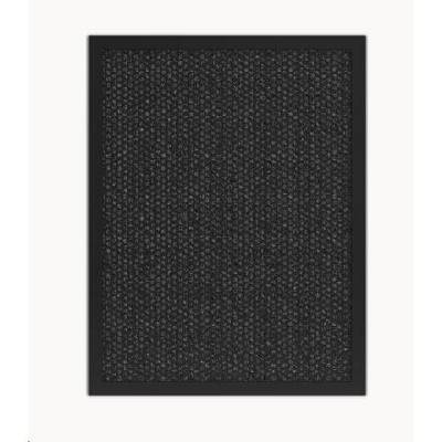 Tesla Smart Air Purifier Pro L TSL-AC-3006CARBON-ACC