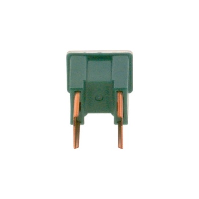 Poistka BOSCH 1 987 529 069