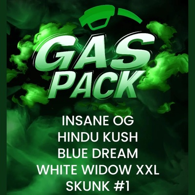 Barney´s Farm Gas Pack semienka neobsahujú THC 5 ks