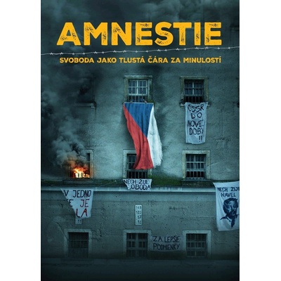 Amnestie