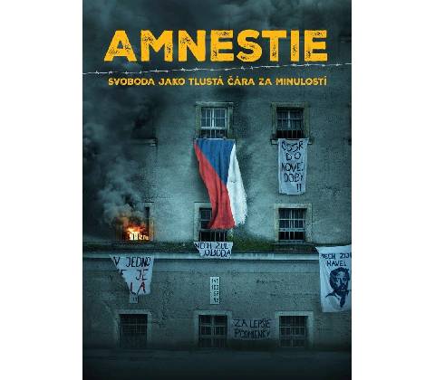 Amnestie