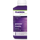 PLAGRON Power roots 250ml