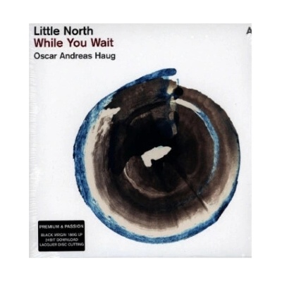 LITTLE NORTH - WHILE YOU WAIT LP