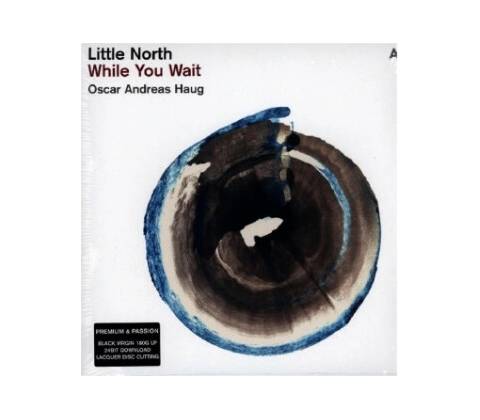 LITTLE NORTH - WHILE YOU WAIT LP