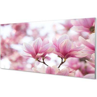 Obraz na skle magnolie strom 100x50 cm