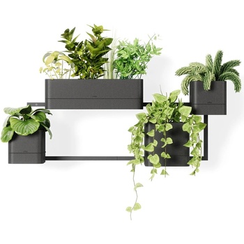 Umbra Висящи пластмасови саксии за билки в комплект от 4 броя Cubiko - Umbra (1018767-040)