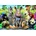 Educa - Puzzle Class Photo - 1 000 piese