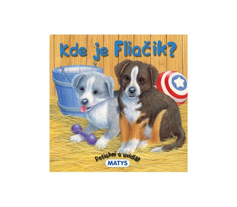 Kde je Fliačik?