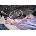 Electrolux EW7DX385AP