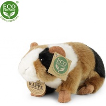 Rappa morče 17 cm
