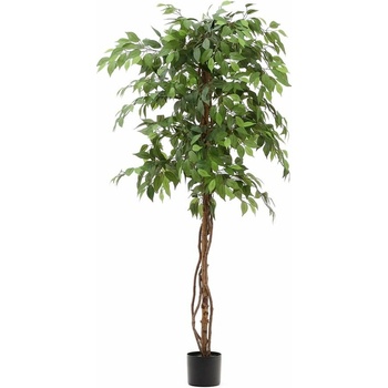 Umelý fikus (výška 180 cm) Ficus – Kave Home