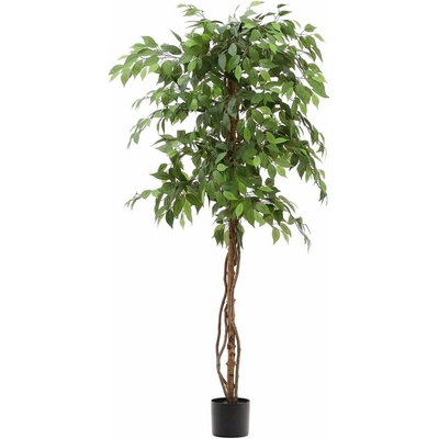 Umelý fikus (výška 180 cm) Ficus – Kave Home