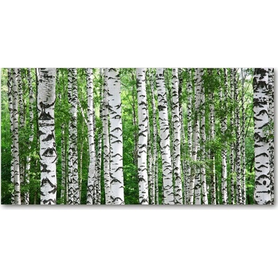 Foto obraz sklo tvrzené brezy 100x50 cm