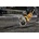 DeWalt DT20466