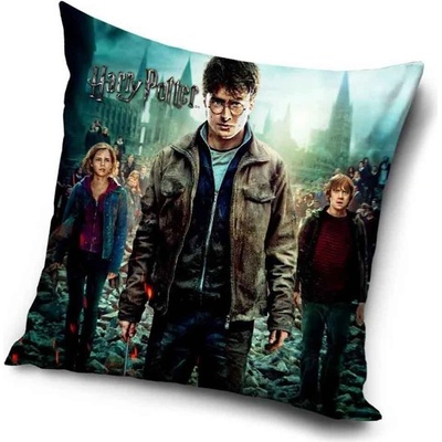 Carbotex Harry Potter HP203022 40 x 40 cm