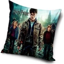 Carbotex Harry Potter HP203022 40 x 40 cm
