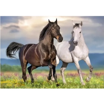 Image 1 of Dino - Puzzle Horses in love - 500 piese