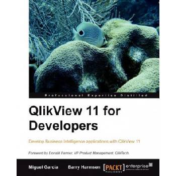 QlikView 11 for Developers | B Harmsen