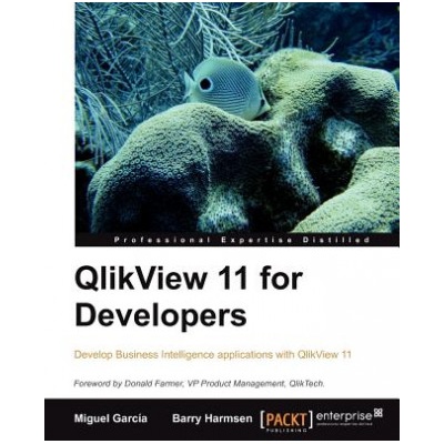 QlikView 11 for Developers | B Harmsen