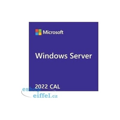 MICROSOFT Windows Server CAL 2019 CAL OEM R18-06466 – Zboží Mobilmania