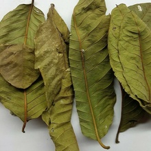 Easy Fish Guava leaves 20 g