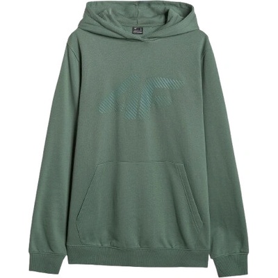 4F Sweatshirt M1980 zelená