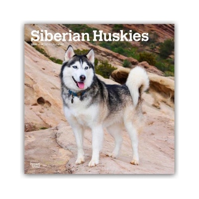 Browntrout Verlags GmbH Siberian Huskies - Siberian Husky 2026 - 16-Monatskalender | BrownTrout Publishers Inc