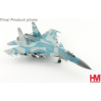 Hobby Master Su-27K Flanker-D Russian Air Force Blue 79 Russia 1995 w Kh-41 Moskit Missile 1:72