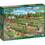 Falcon - Puzzle Strawberry Picking - 1 000 piese