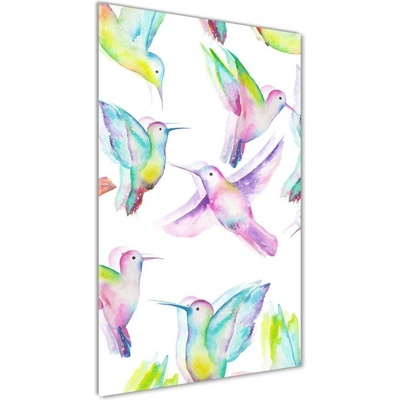 Vertikálny foto obraz sklo tvrdené Farební kolibríky 50x100 cm