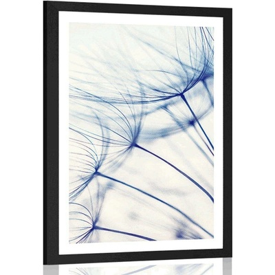 Plakát s paspartou pampeliška v jedinečném provedení - 20x30 silver