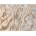 Multidecor Килим STONE 80x140 см бежов/сив (MU0124)