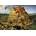Art Puzzle - Puzzle Brueghel: Babel Tower 2000 - 2 000 piese