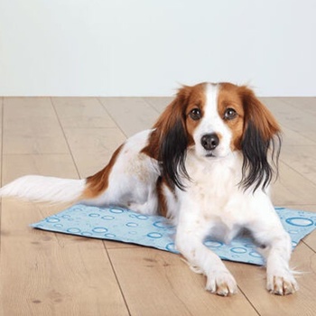 Trixie Chladiaca podložka pre psy 65 x 50 cm