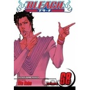 Bleach, Vol. 56