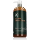 Paul Mitchell Tea Tree Special Color Shampoo 1000 ml