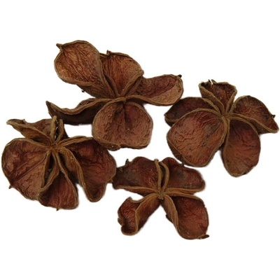 land lotus natur, cena za 20 ks