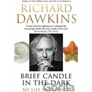 Brief Candle in the Dark