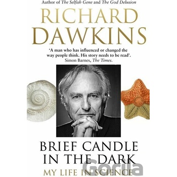 Brief Candle in the Dark