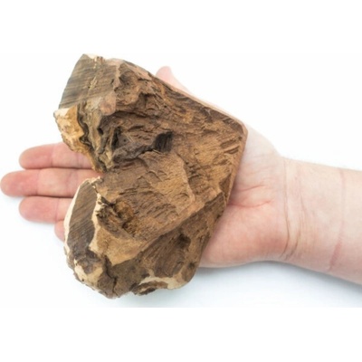 4Dogs Žvýkací hračka pro psy jelení parohy 20 cm 1 ks