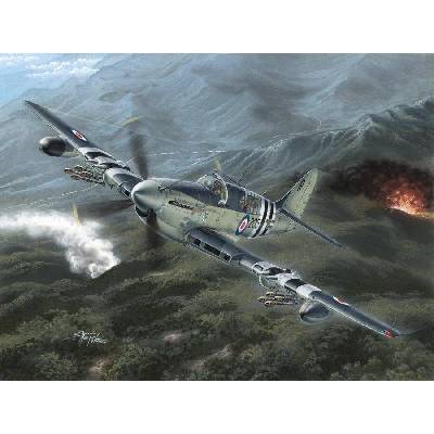 Special Hobby Fairey Firefly Mk.4/5 Korean War 1:48