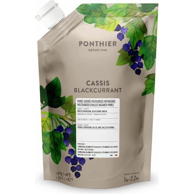 Ponthier pyré Čierna ríbezľa 1000 g